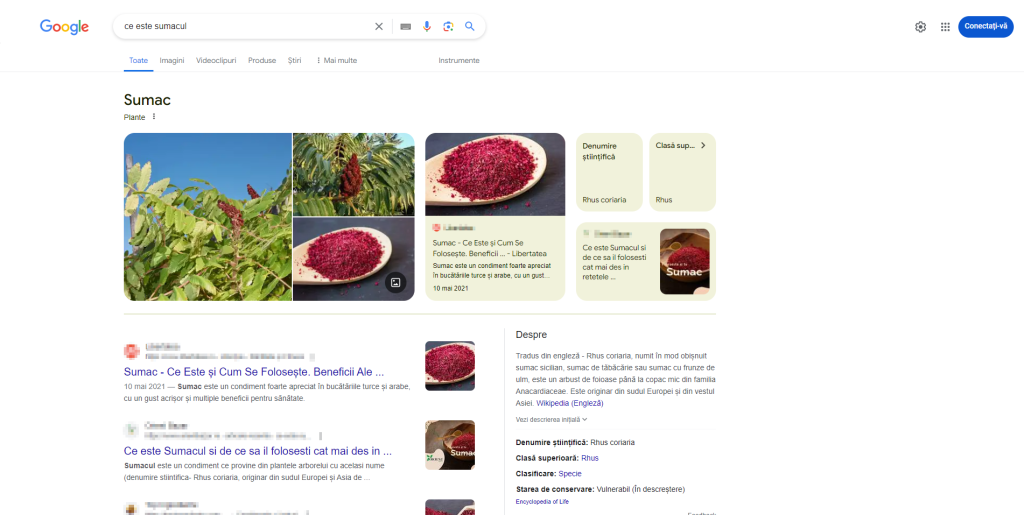 Cautare de tip informational
