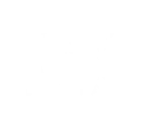 Newark Digital